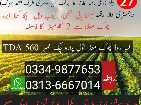 27 Acres Agri Land For Sale – Golden Opportunity to invest in Chowk Sarwar Shaheed ( Chowk Munda ) District Kot Addu – Contact # 03349877653 , 03136667014